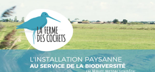 Installation des Maraîchines à la ferme de Cochets