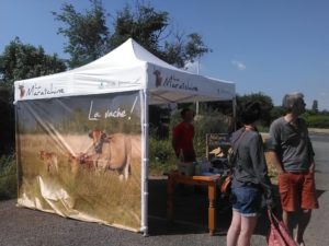 stand vache maraichine st hilaire de riez