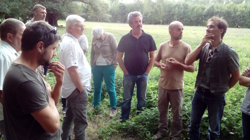 30 ans association vache maraichine tony un paysan convaincu