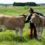 Visites à la ferme : GAEC La Barge !