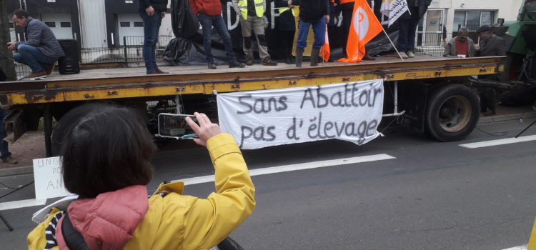 Les races locales aux chevets de l’abattoir de Challans