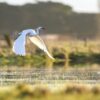 Infos biodiversité !