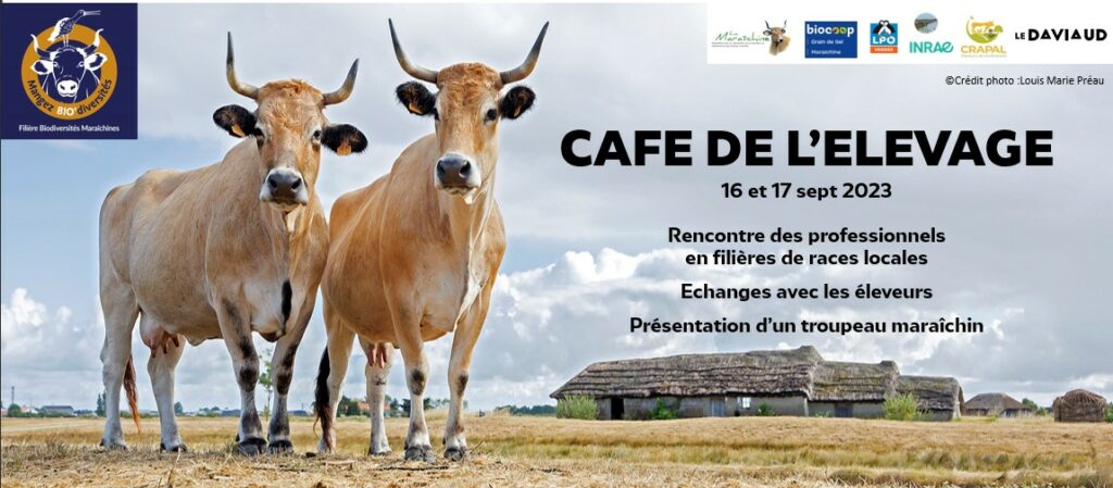 Affiche Cafe De Lelevage