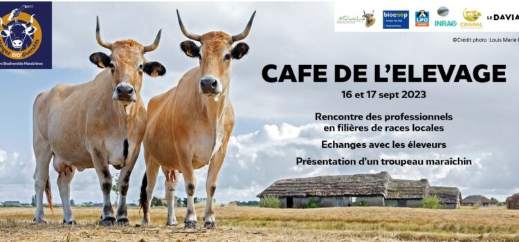 Affiche Cafe De Lelevage