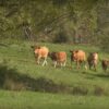 Film sur la ferme expérimentale de l’INRAE