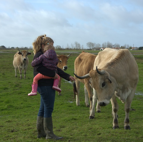 Ferme des Cochets - photo Gaetan Calmes