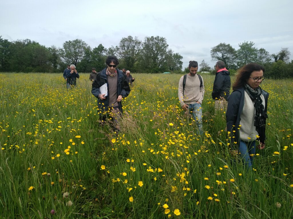 Visite de ferme DPN - photo Laura Kerguillec