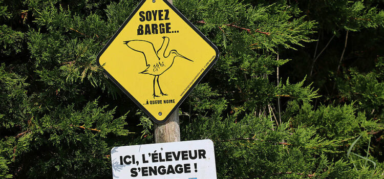 Soyez Barge - photo conseil Départemental 85