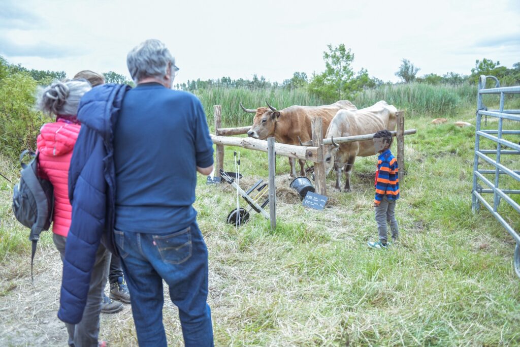 Fête du pré tord - village des races locales