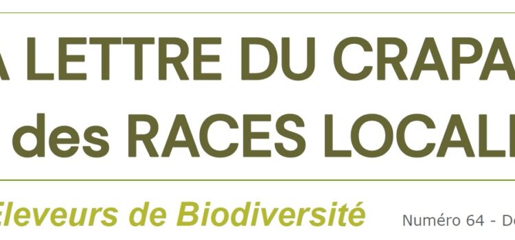 Bandeaulettreinfocrapaldec2024