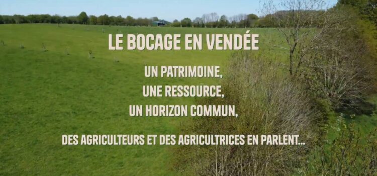 Visuel film bocage et boisements