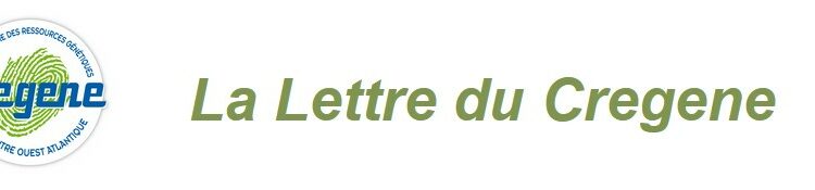 Bandeau Lettre du Cregene