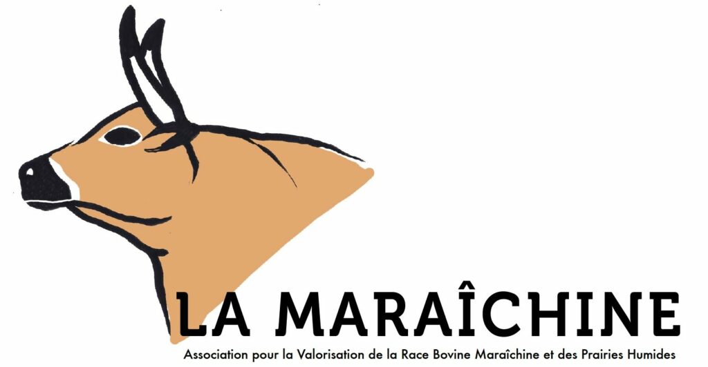 Nouveaulogo Maraichine