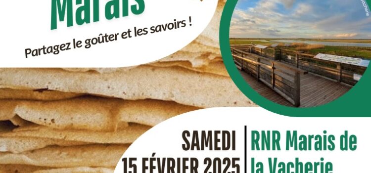 Goûter des marais - 15 février 2025 - Champagné les Marais