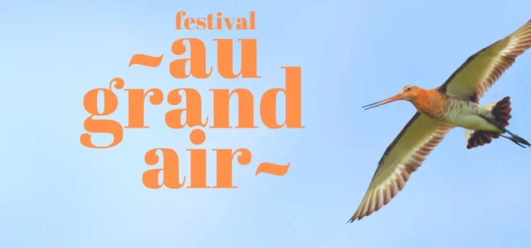Festival au Grand Air - Daviaud