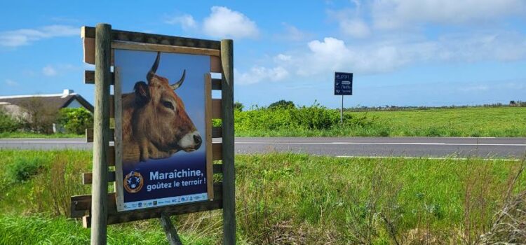 Maraîchine, goûtez le terroir