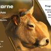 Remise des prix de la filière Biodiversités Maraîchines : J-30