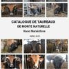 Parution du catalogue de taureaux maraîchins