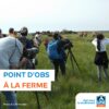 Des oiseaux et des vaches : épisode 13