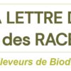 Lettre du CRAPAL – juillet 2025