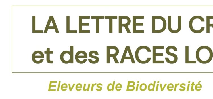 Bandeau Newsletter Juillet 2025