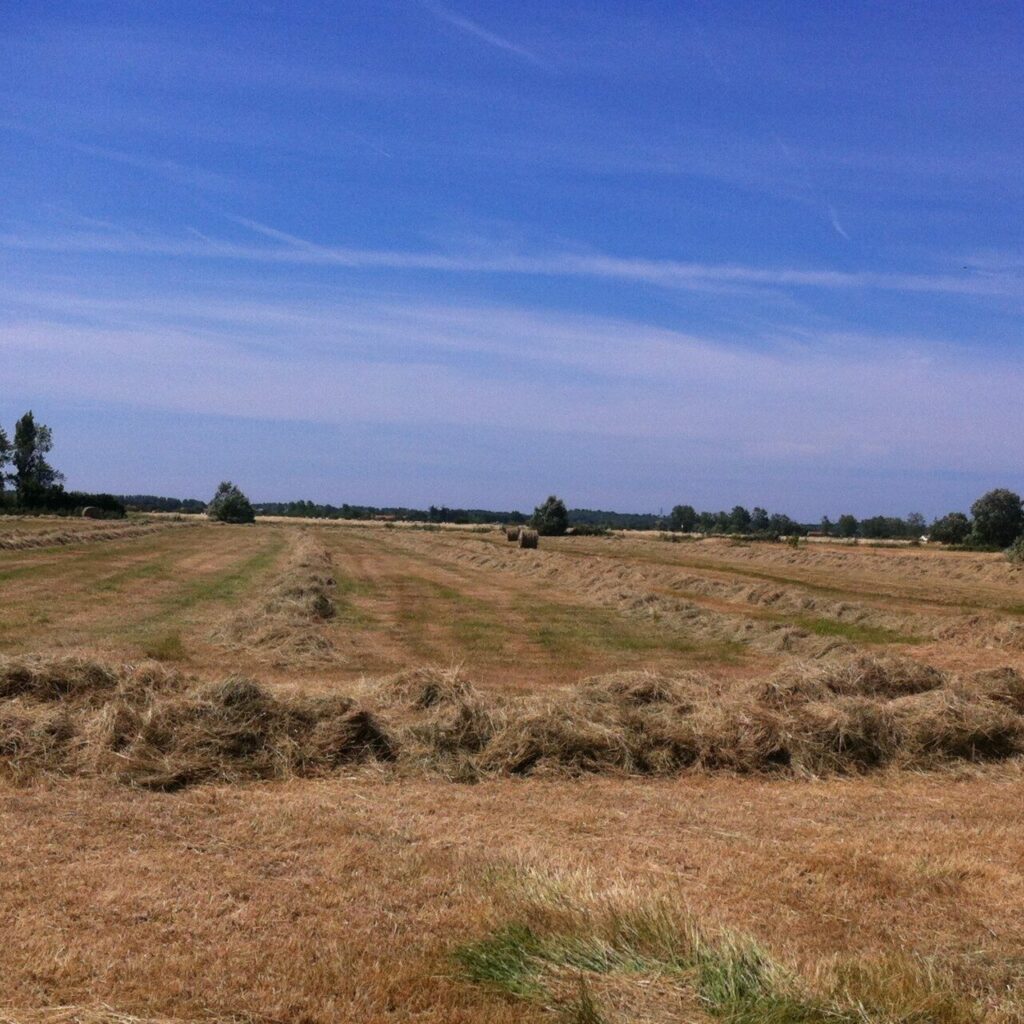 Ferme du Pré Tors