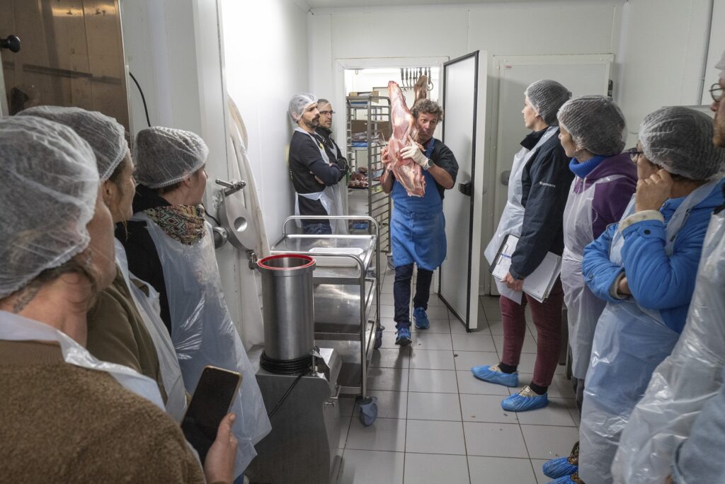 Formation découpe et usage des morceaux - novembre 2025 - photo Olivia Baray / FBM