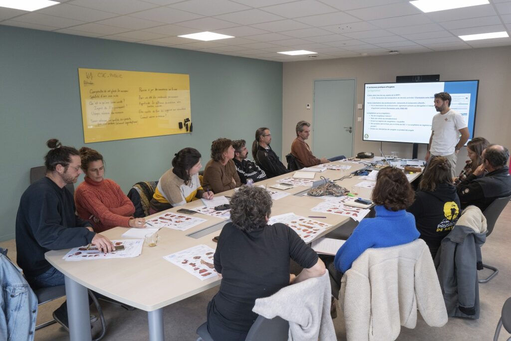 Formation découpe et usage des morceaux - novembre 2025 - photo Olivia Baray / FBM