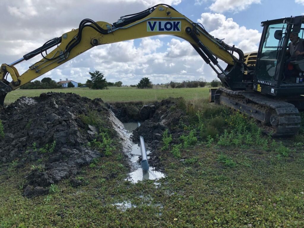 Travaux Leste à grands stigmas - GAEC La Barge