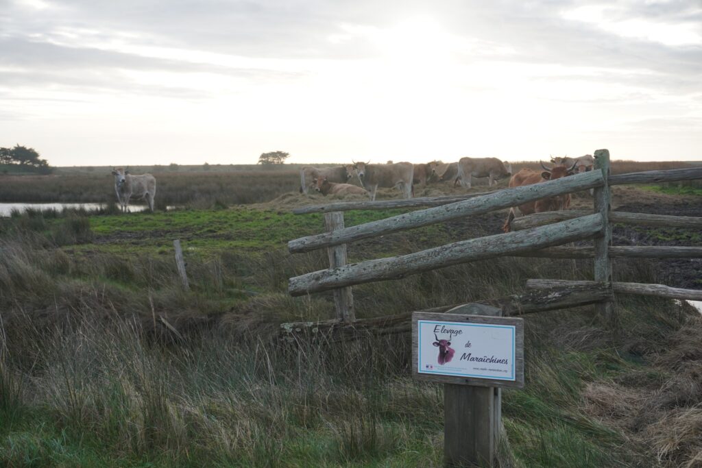 Photovilledebarbâtre