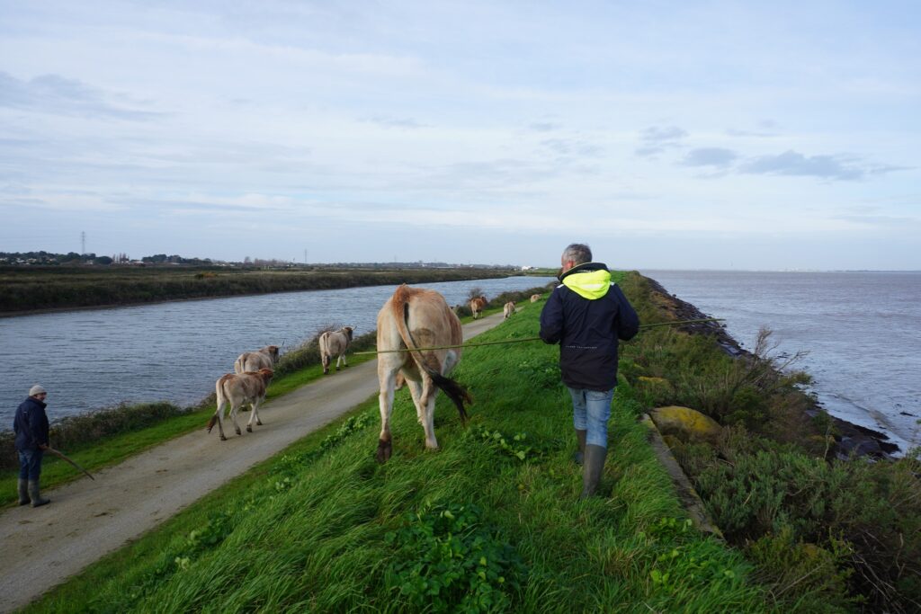 Photovilledebarbâtre4