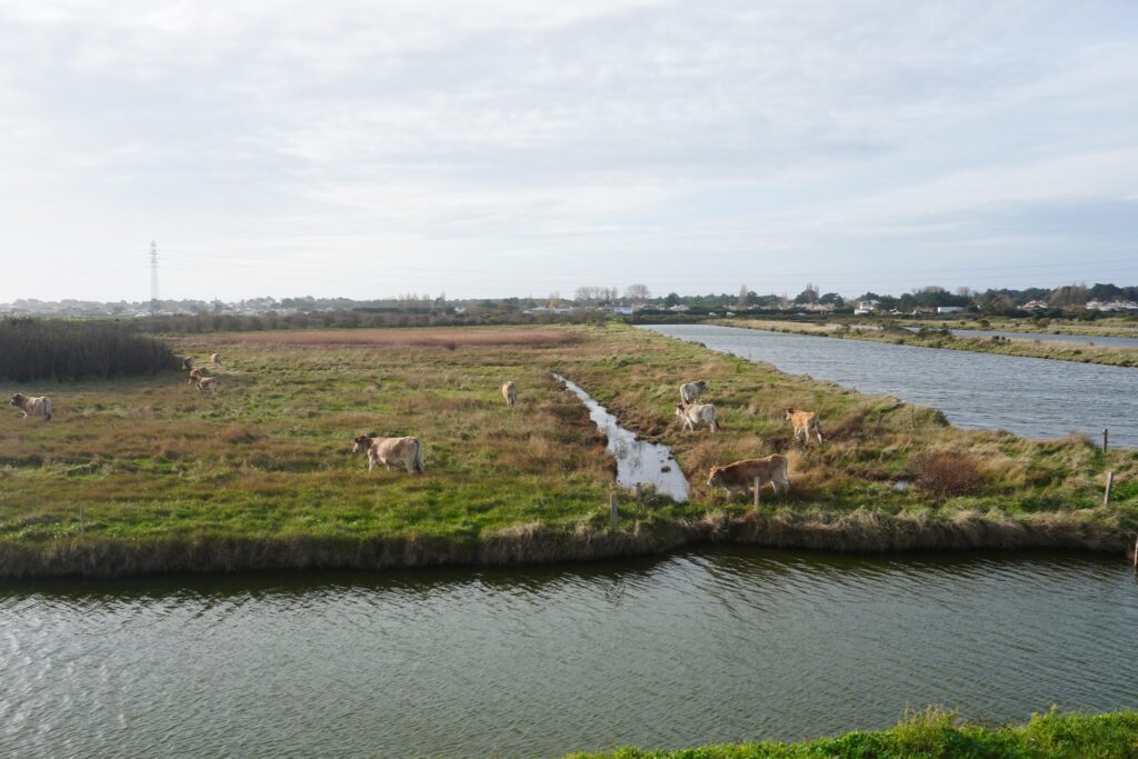 Photovilledebarbâtre5