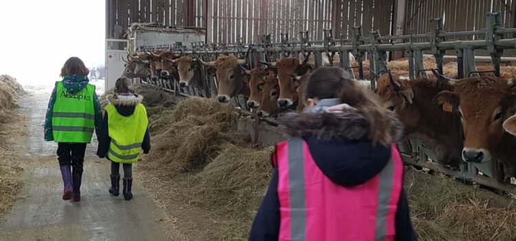 La jeunesse en visite à Dixmerie Clubnaturestdenisdupayré Dixmerie2