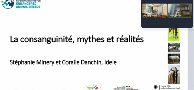 (Re)voir le webinaire sur la consanguinité Webinaire idele consanguinité