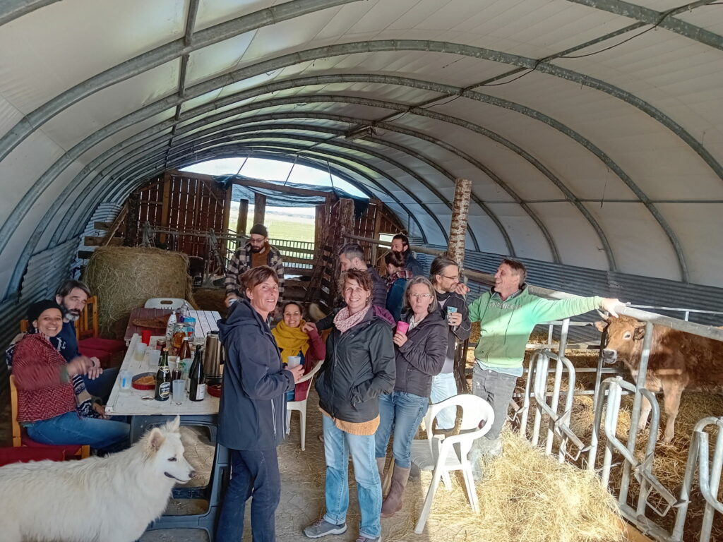 Goûter des vaches - photo Ludivine Cosson