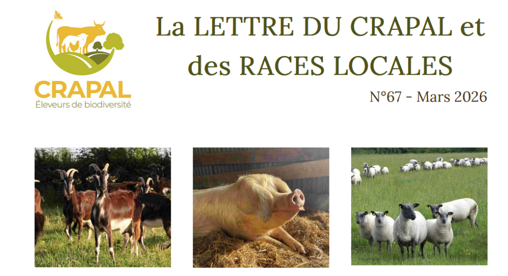 Lettre du Crapal 67
