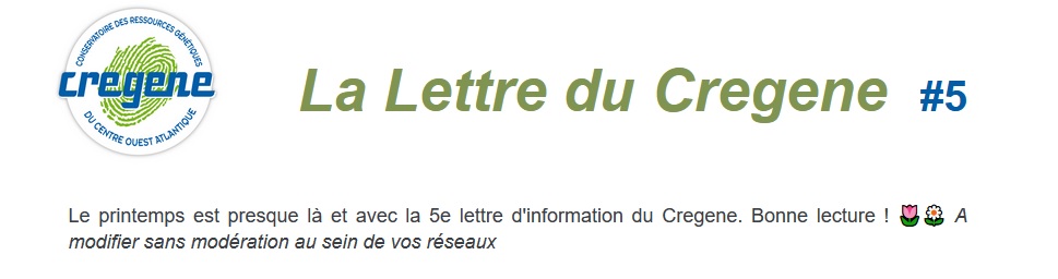 Bandeau Lettre Cregene5