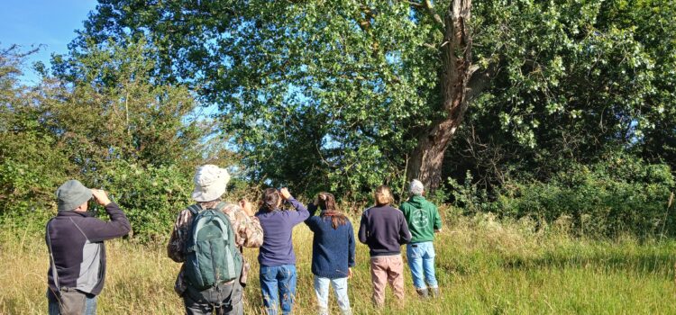 Les rendez-vous de Gens du Bocage et du Marais Cuicui dans les roseaux