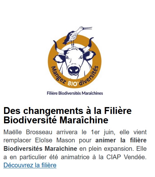lettre du Cregene #6
