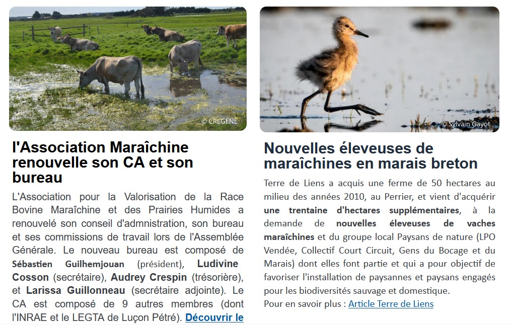 lettre du Cregene #6