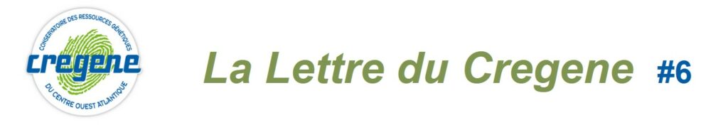 Lettre Cregene 6 Bandeau