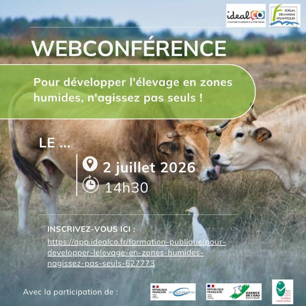 webinaire élevage en zone humide