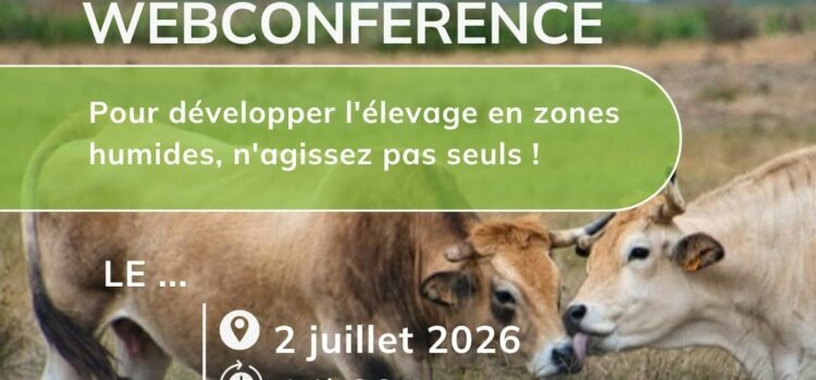 Webinaire « élevage en zone humide » Webconference Fmabandeau