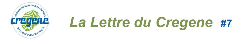 Lettre du cregene 7