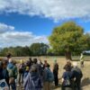 Visite de l&rsquo;élevage de Maraîchines d&rsquo;Adrien Poudré